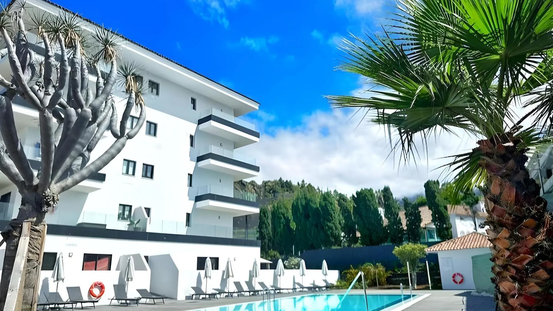 Modern Oasis - Pool, Gym & Tennis Puerto de la Cruz  Spanje